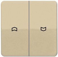 Лицевая панель Jung CD500 для 2-кл. выключателя жалюзи светлая бронза картинка